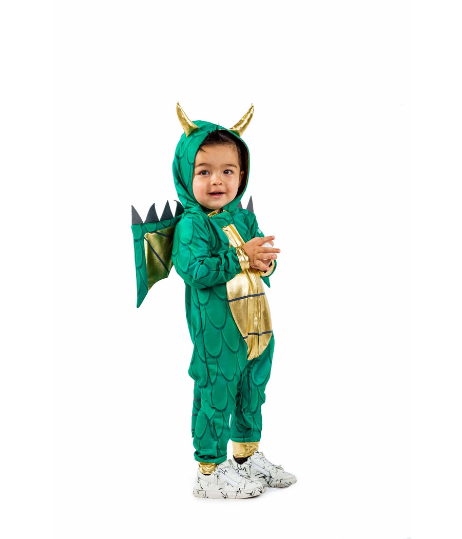 Toddler Boy's Dragon Costume