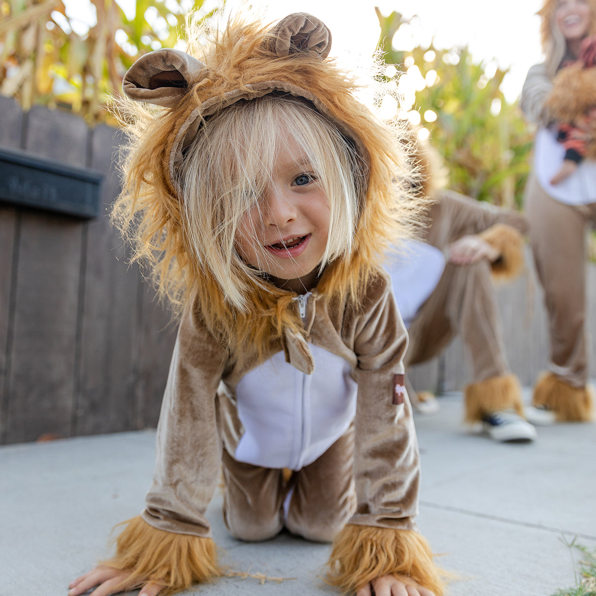 shop kid's costumes - boy wearing boy's lion costume 